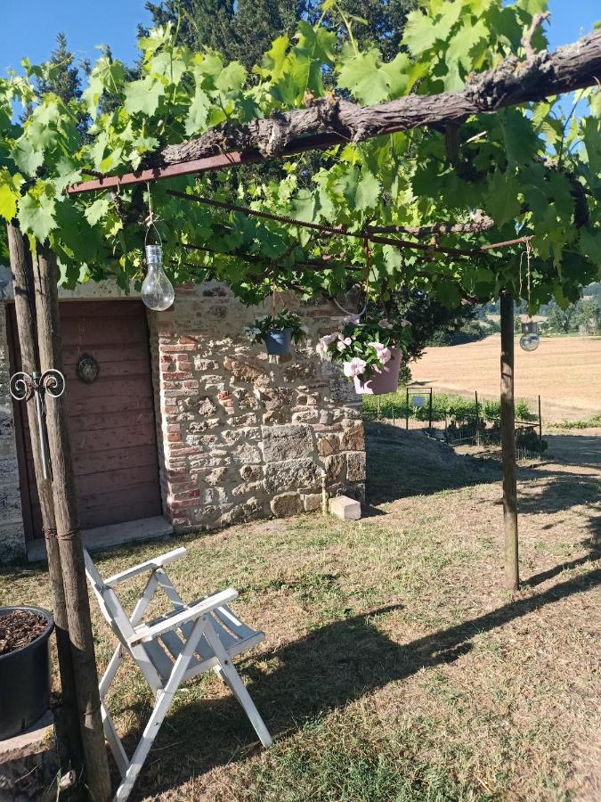 Agriturismo Podere La Selva Villa Serre Di Rapolano Ngoại thất bức ảnh
