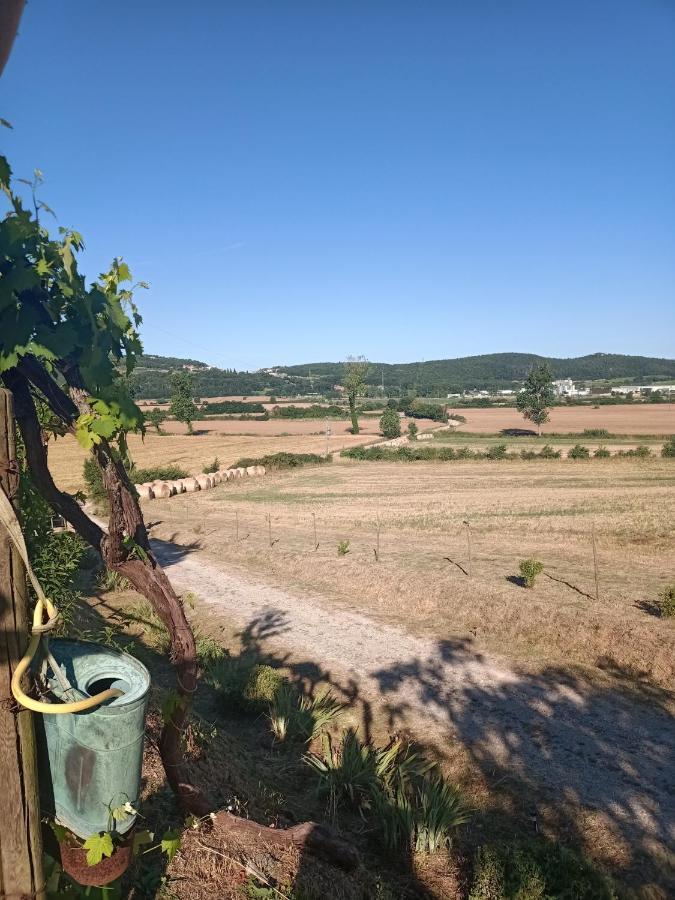 Agriturismo Podere La Selva Villa Serre Di Rapolano Ngoại thất bức ảnh