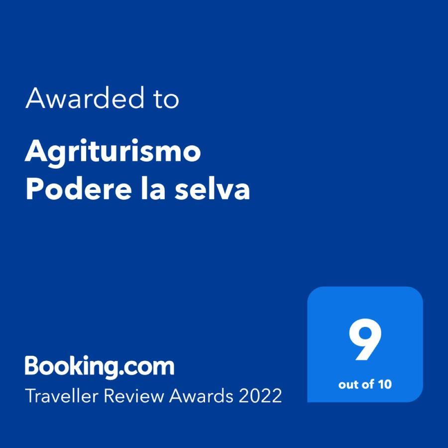 Agriturismo Podere La Selva Villa Serre Di Rapolano Ngoại thất bức ảnh