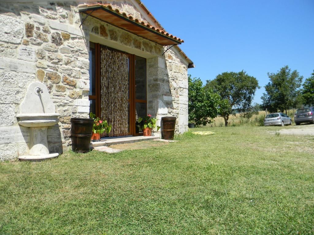 Agriturismo Podere La Selva Villa Serre Di Rapolano Ngoại thất bức ảnh