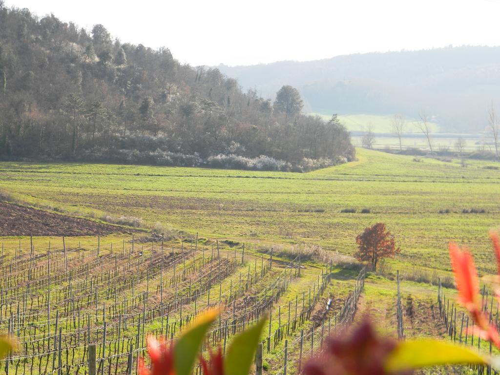 Agriturismo Podere La Selva Villa Serre Di Rapolano Ngoại thất bức ảnh