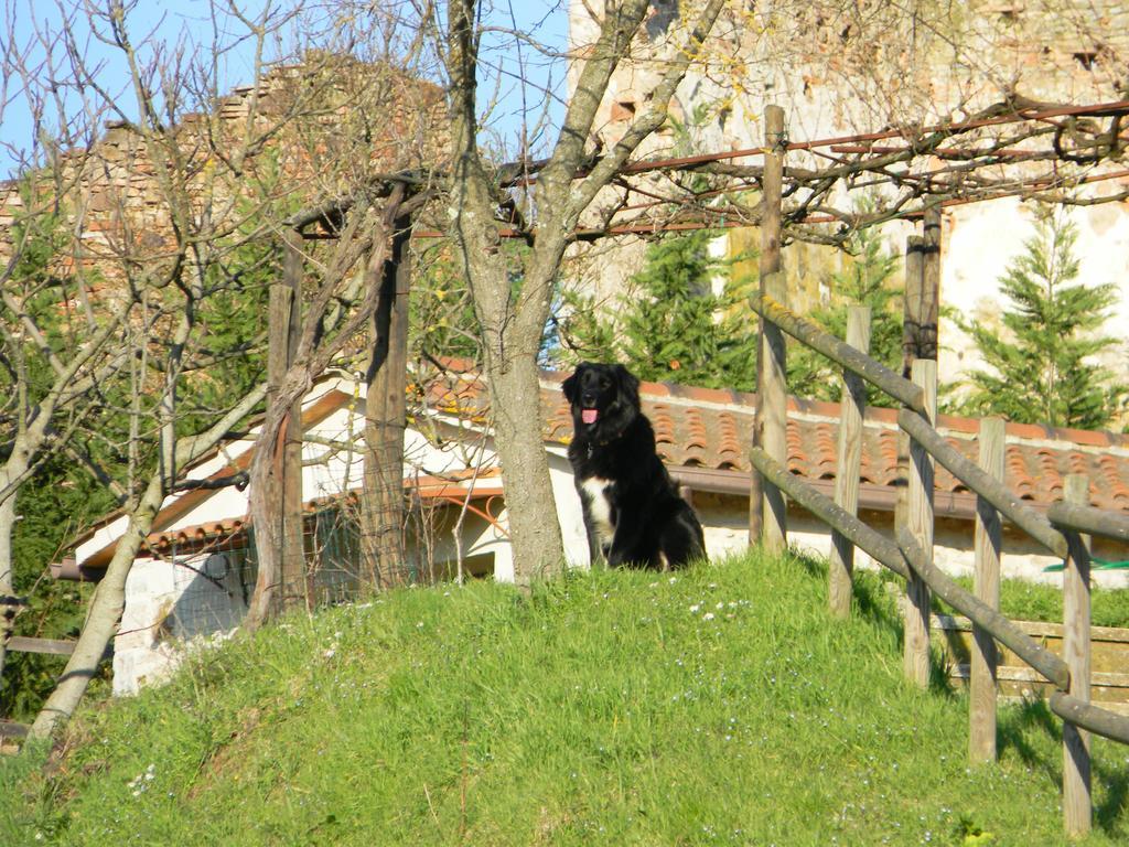 Agriturismo Podere La Selva Villa Serre Di Rapolano Ngoại thất bức ảnh
