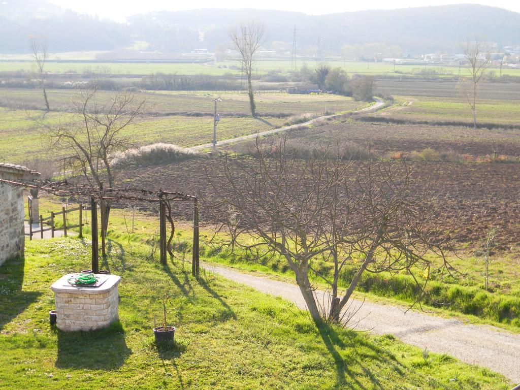 Agriturismo Podere La Selva Villa Serre Di Rapolano Ngoại thất bức ảnh