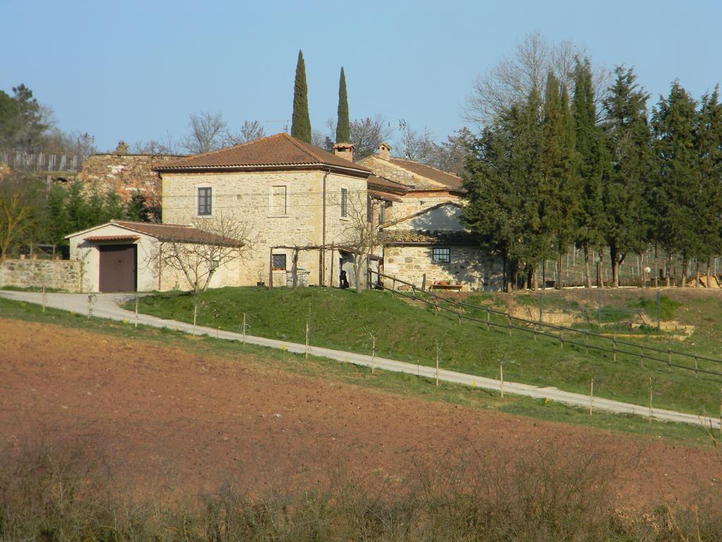 Agriturismo Podere La Selva Villa Serre Di Rapolano Ngoại thất bức ảnh