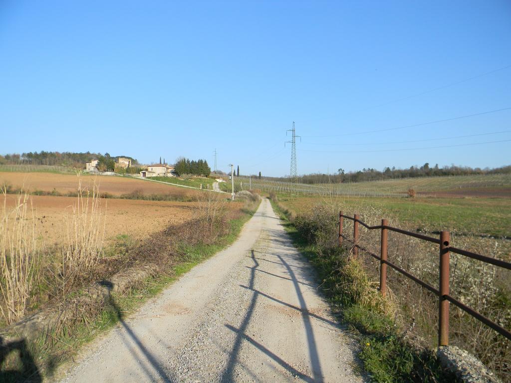Agriturismo Podere La Selva Villa Serre Di Rapolano Ngoại thất bức ảnh
